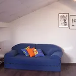 Kuncabok Kukljica